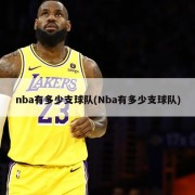 nba有多少支球队(Nba有多少支球队)