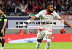 足球世界杯2023(足球世界杯2023在哪里举行)