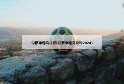 拉萨半程马拉松(拉萨半程马拉松2024)