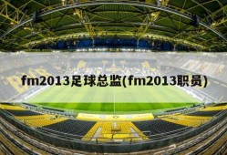 fm2013足球总监(fm2013职员)