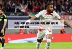 英超-利物浦2-0谢菲联(英超利物浦对谢菲尔德联集锦)