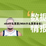 nba什么意思(NBA什么意思全名)