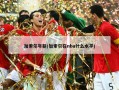 加索尔年薪(加索尔在nba什么水平)