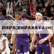 默特萨克(默特萨克身高不止198)