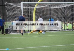 国际足球联合会(国际足球联合会的法文缩写)